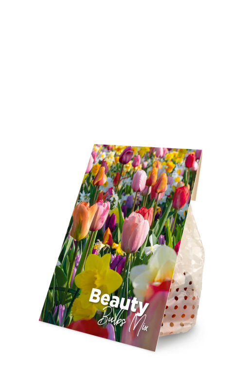 Bulbs beauty mix product