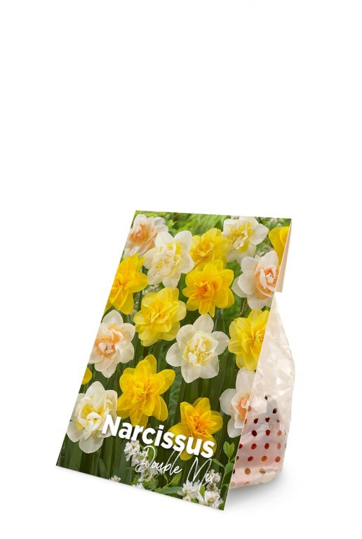 Narcissus dubbel mix verpakking