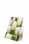 Tulipa white product